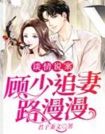 顾先生多少集