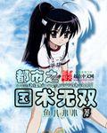 都市之国术无双武道天王