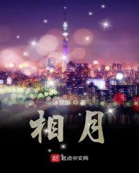 相目