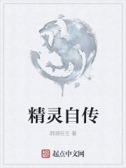 精灵传说中文版