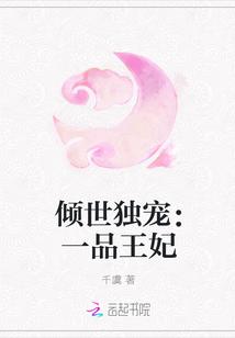 独宠一品世子妃