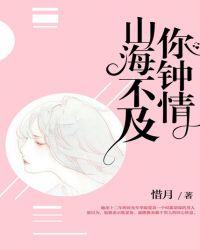 山海不及你钟情讲的什么