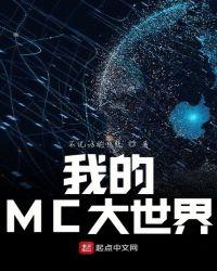 我的Mc大世界
