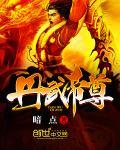 丹武帝尊杨辰在线阅读