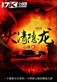 大清隐龙txt免费