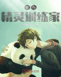 精灵之核心训练家