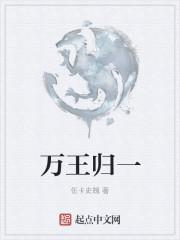 万网归一什么意思