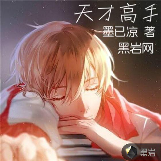 天才高手叶天龙