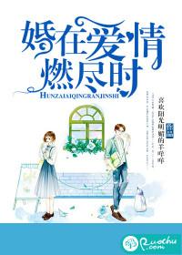 婚在爱情燃尽时全集免费播放