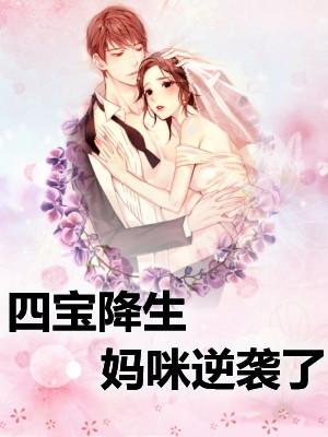 苏若汐沈廷风