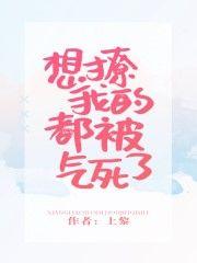 想撩我的都被气死了宗政是男主吗