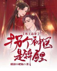 寒王神医宠妃全集