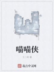 喵喵侠宠物有限公司