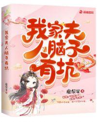 我夫人脑子有坑岩兮枣txt