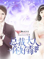 总裁追妻路漫漫路漫漫