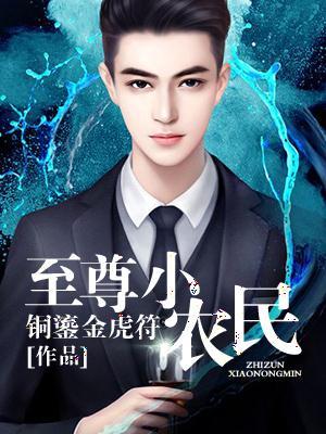 至尊小农民王木生全集免费阅读