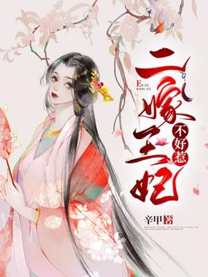 二嫁王妃不好惹简介