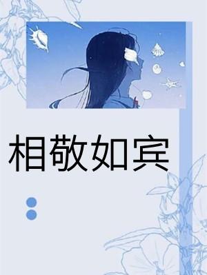 相敬如宾by