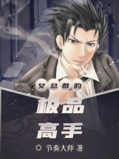 叶枫柳如烟