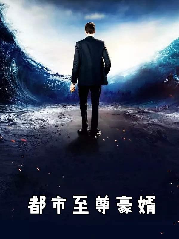 都市至尊豪婿全集