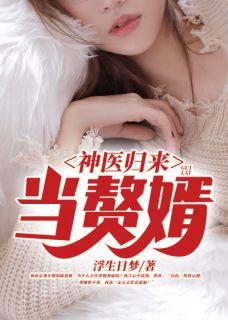 主角叫叶尘林婉的