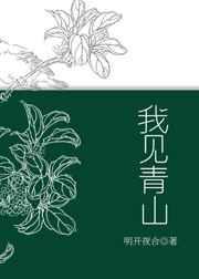 我见青山啥意思