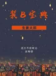 装B宝典未删减