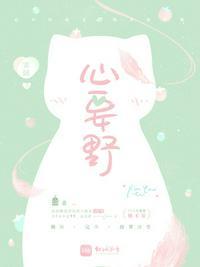 歌曲心要野