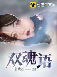 双魂语推文