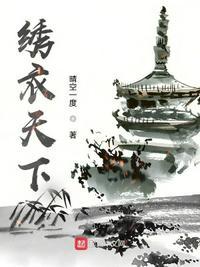 锦衣天下电视剧