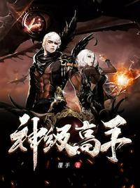 大海贼之神级高手