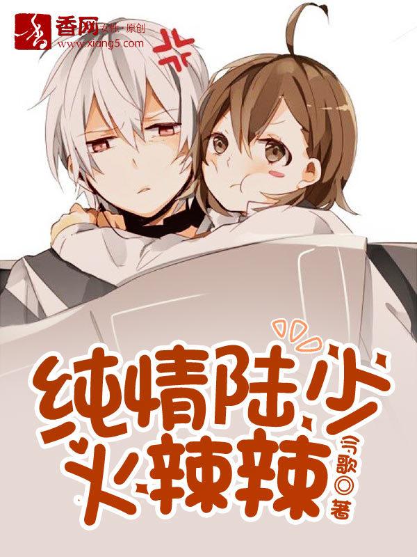 纯情陆少叫什么