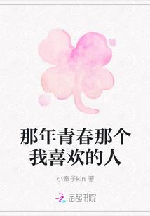 那年的青春电视剧