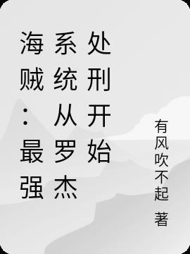 海贼之最强的系统