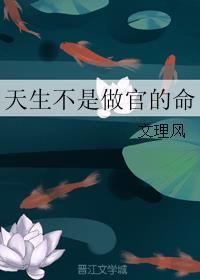 天生不是做官的命作者文理风