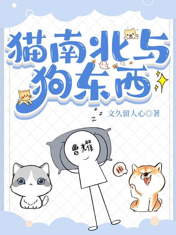 猫南北与狗东西怎么反击