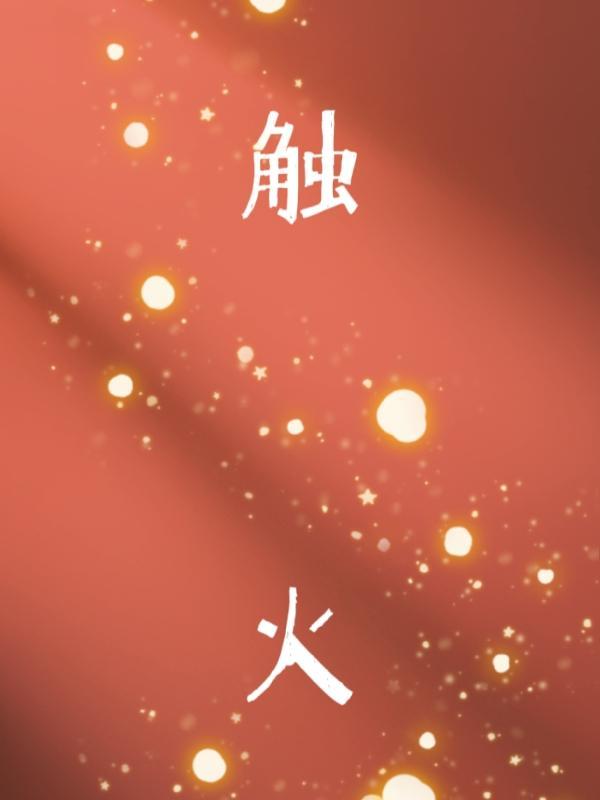 触火之恋简介
