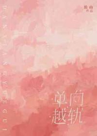 单向轨道