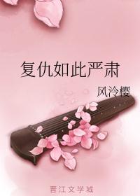 复仇简介