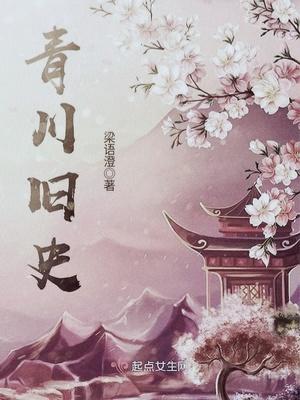 青川旧史烂尾