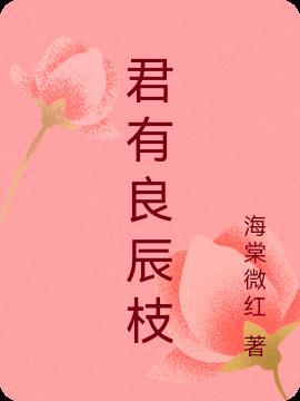 良辰好景再遇君