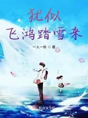 飞鸿踏雪你