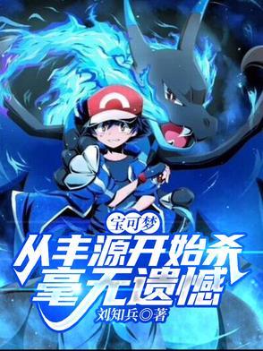 精灵宝可梦丰源地区攻略