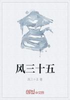 风三十五的全部作品