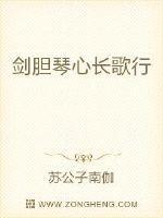 剑胆琴心是什么