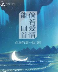 回首爱情的句子