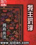 我主沉浮40集电视剧