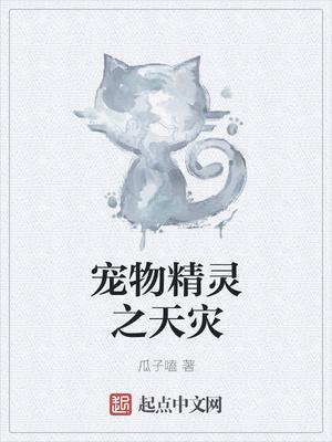 宠物小精灵之天羽